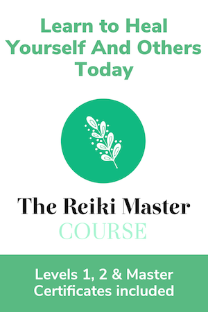 reiki online course